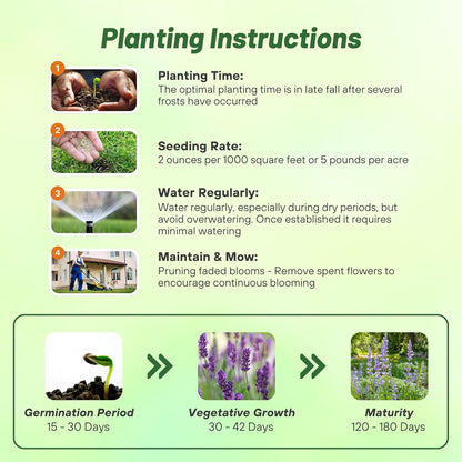 Outsidepride Penstemon Seeds - 5000 Pcs Perennial, Drought-Tolerant & Pollinator Friendly, Strictus