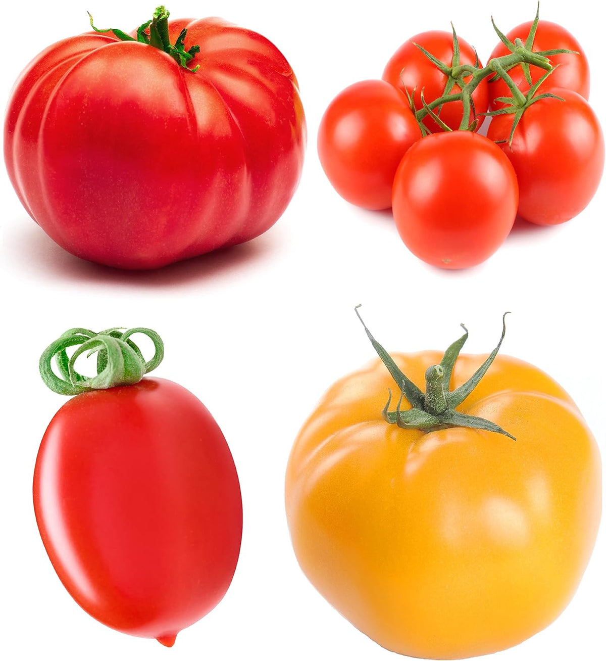 Tomato Seeds Variety Pack – 4 Heirloom Non-GMO Varieties: Beefsteak, Cherry, San Marzano, Yellow