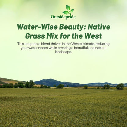 Outsidepride Western Native Grass Seed Mix - 5 lbs. Perennial Blend of Warm & Cool Season, Drought