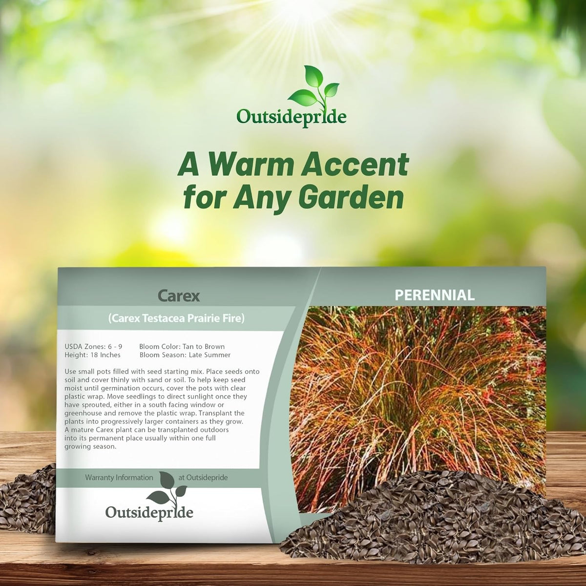 Outsidepride Carex Prairie Fire Ornamental Grass Seed – 200 Pcs. Perennial, Low-Maintenance