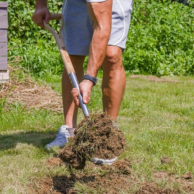 Berry&Bird Shovels for Digging, 43’’ Round Spade Heavy Duty Shovel with Wooden D Handle Stainless