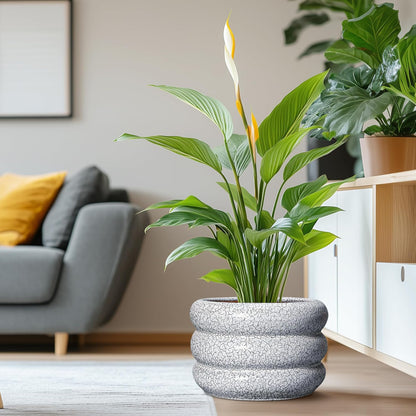 SQOWL Ceramic Plant Pots - 13.5 Inch Ceramic Planter with Drainage Hole, Large Round Planter for