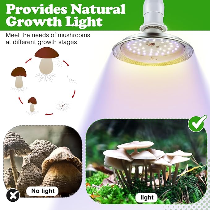 Meonum Mushroom Grow Light with 3/6/9 Hour Timer, 360° LED Hanging Grow Lights Bulb for Mushroom