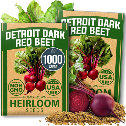 HOME GROWN Detroit Dark Red Beet Seeds 2 Pack(Beta vulgaris) 1000+𝗡𝗢𝗡-𝗚𝗠𝗢 𝗨𝗦𝗔 Heirloom