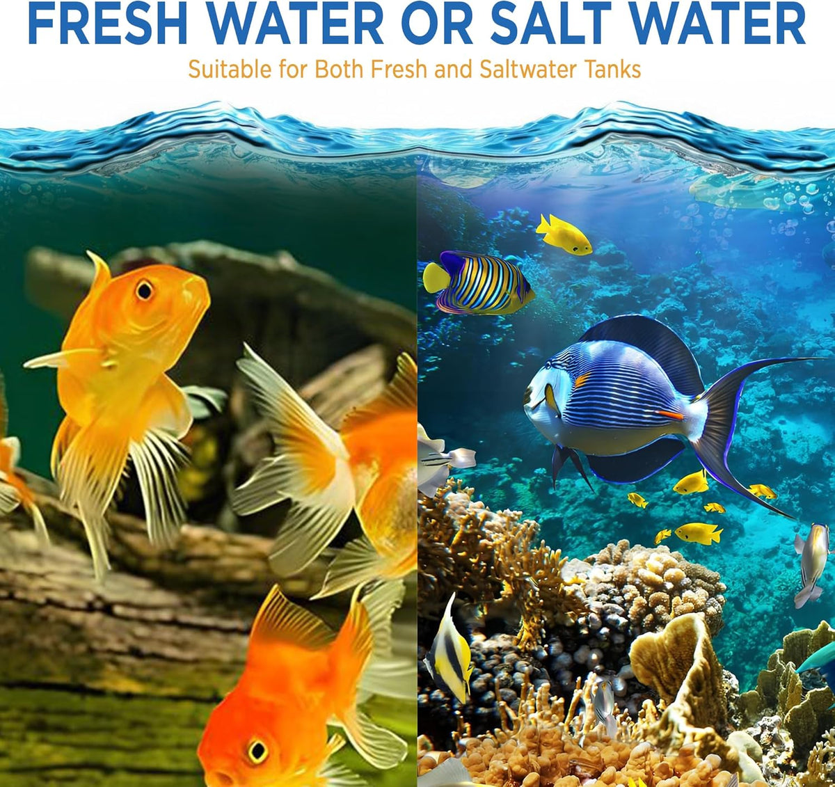 Fish Tank Rocks for Enhancing Water Clarity with Your Regular Cleaning Routine, Fish Friendly