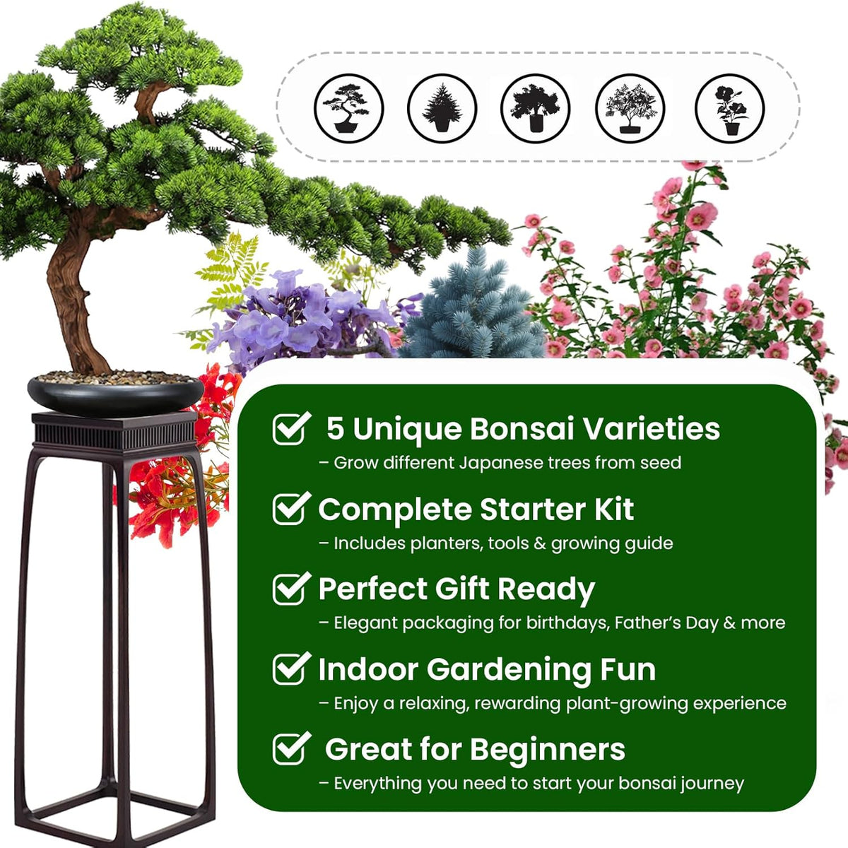 5 Pack Bonsai Tree Kit - Unique Gardening Gift Set for Plant Lovers | Complete Japanese Bonsai