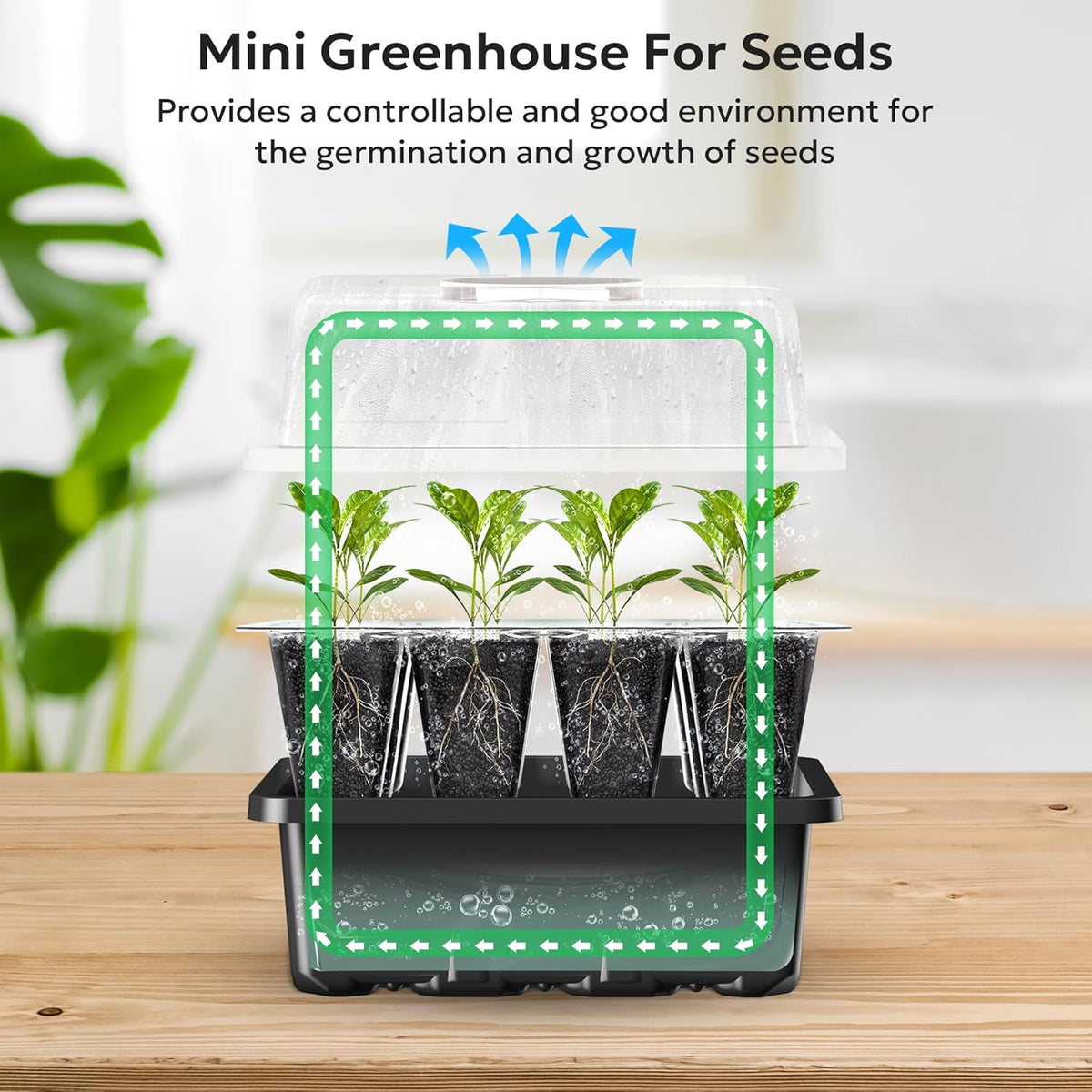 MIXC 10 Packs Seed Starter Tray Seed Starter Kit with Humidity Dome (120 Cells Total Tray) Seed