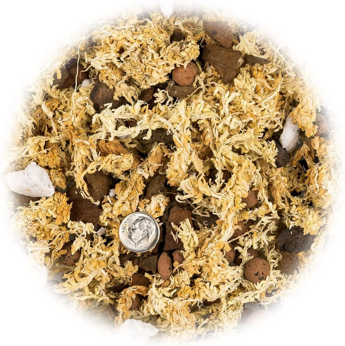 Premium Phalaenopsis Imperial Orchid Potting Mix - Hand Mixed in Small Batches | Great for