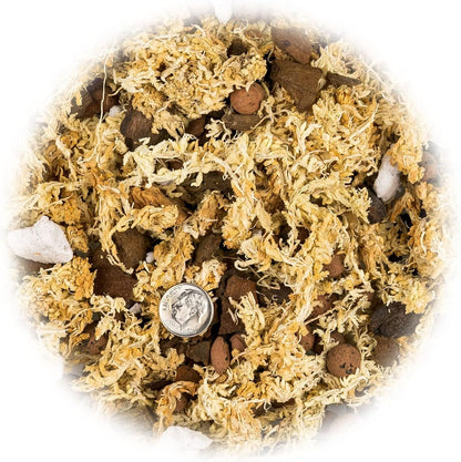 Premium Phalaenopsis Imperial Orchid Potting Mix - Hand Mixed in Small Batches | Great for