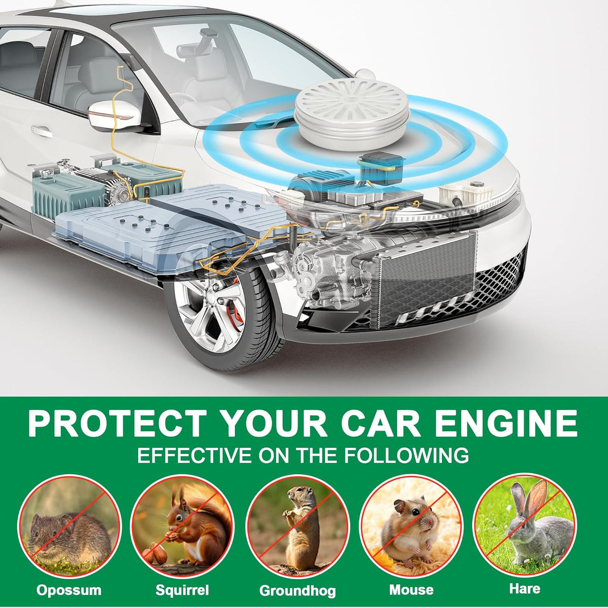6 Pack Peppermint Mouse Repellent - Rat Repellents for Outdoor Car Engines Garages House, Rat