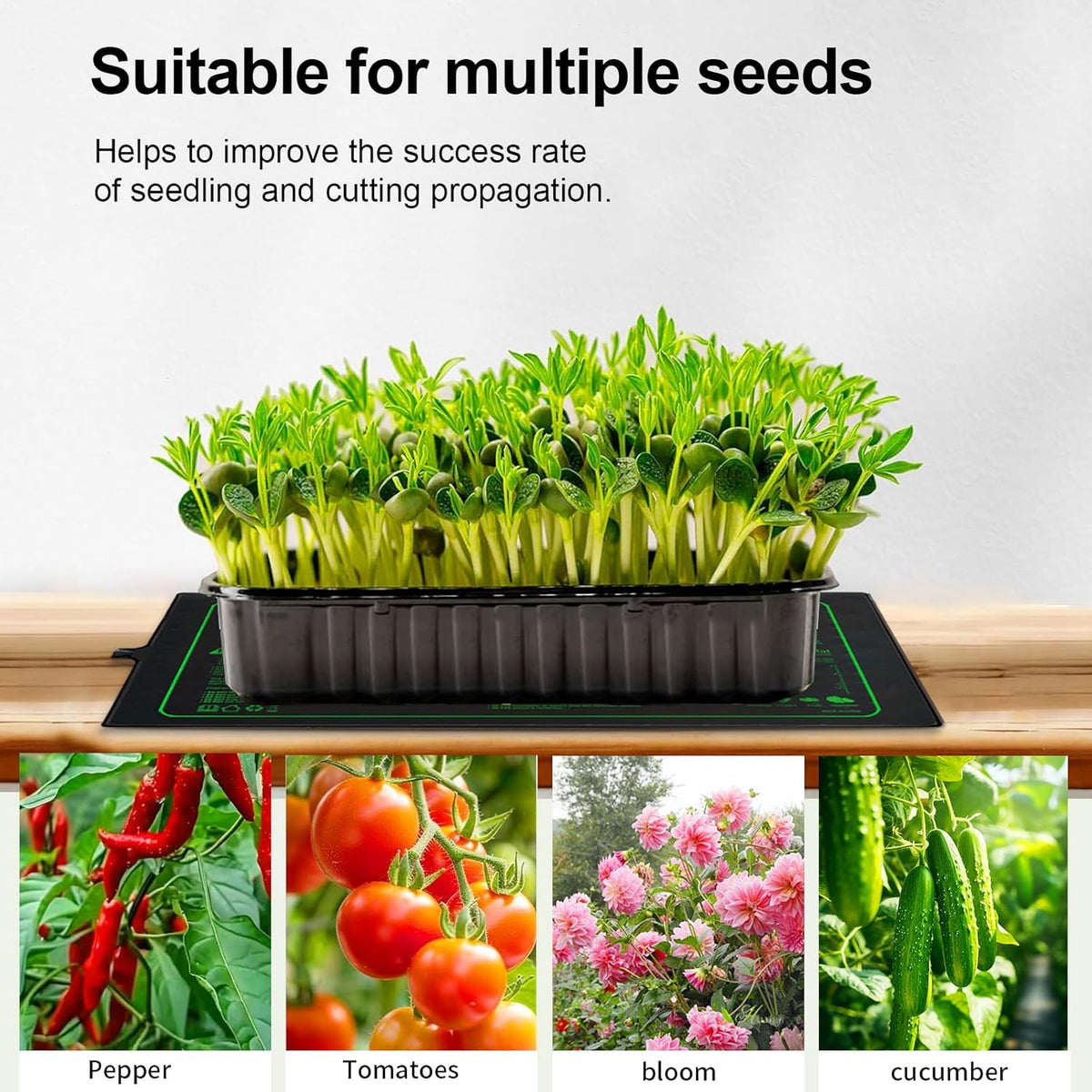 Upgrade 20"x20" Durable Waterproof Seedling Heat Mat with ETL Certified, Warm Hydroponic Heating