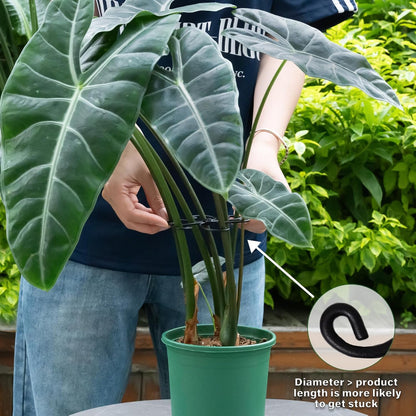 Monstera Plant Support Hook - 4.1x4.1IN 5PCS, Durable Adjustable Stem Support System, Gentle