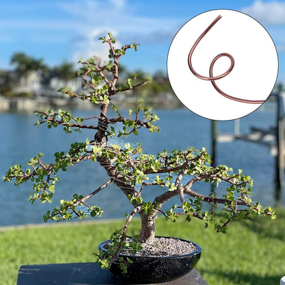 98 Feet Brown Anodized Aluminum Bonsai Training Wire, 4.0mm Anodized Aluminum Wire, 98 Feet Bonsai