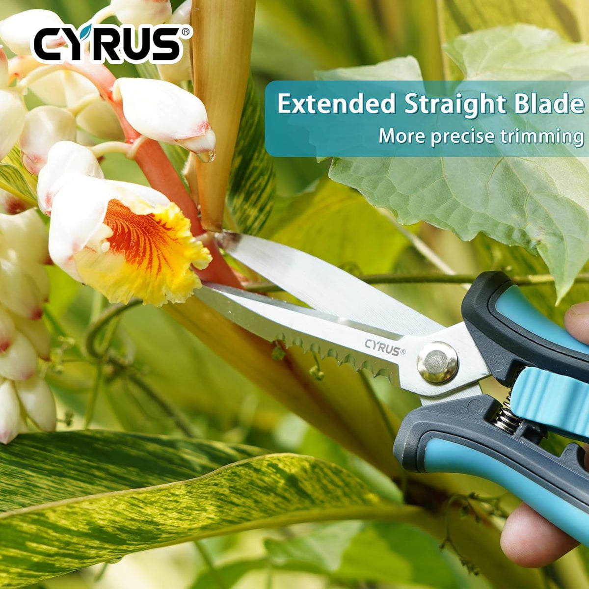 CYRUS Pruning Shears 8" Hand Gardening Scissors Extended Straight Carbon Blades Trimming Precision