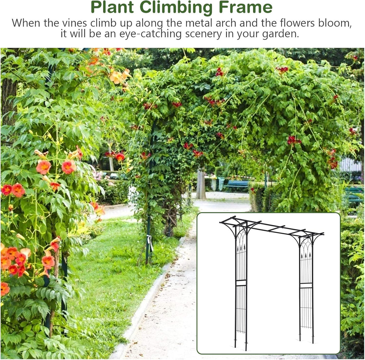 Safstar Metal Arch, 81-Inch Outdoor Garden Arbor for Various Climbing Plant Flower, Wedding Arch