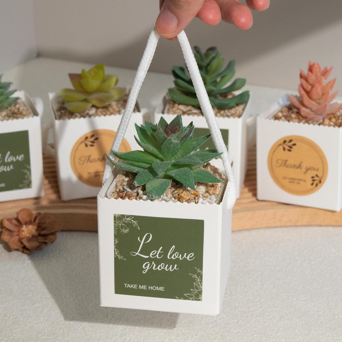 Temlum 2.5 Inch Succulent Wrap Bags (Fits 2.5″ Pots) with Thank You & Let Love Grow Stickers