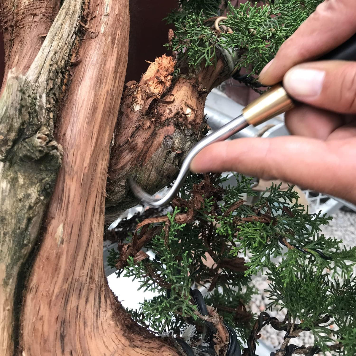 5-Piece Bonsai Scraper Bonsai Tool Set