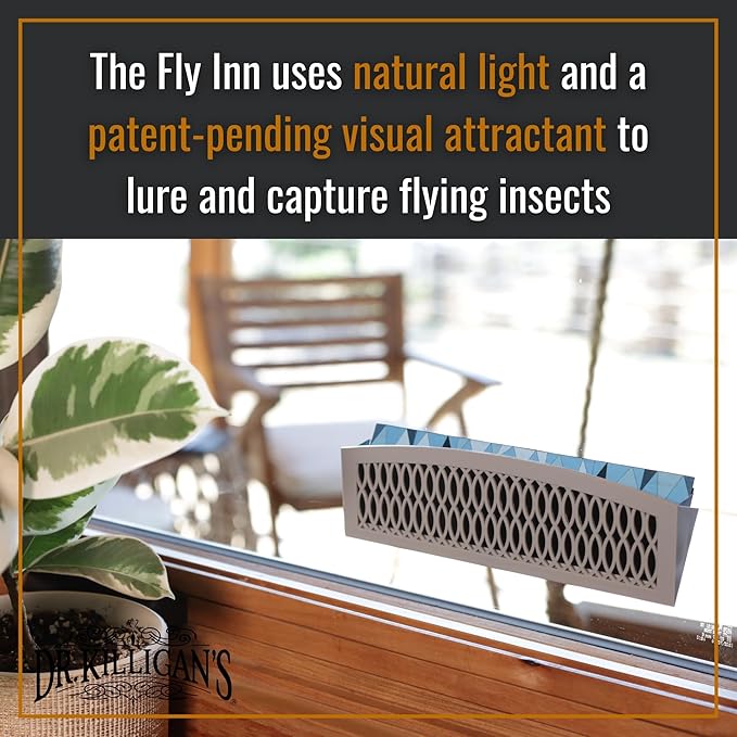 Dr. Killigan's The Fly Inn | Sticky Window Traps | Indoor Insect Trap | Catches and Hides Bugs |