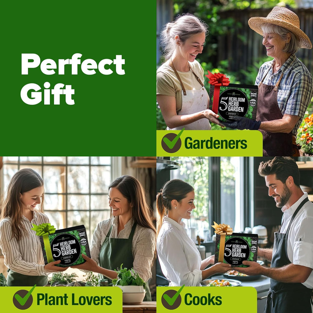 HOME GROWN Indoor Herb Garden Starter Kit - Christmas Gift for Gardeners - Complete 5 Herb Plant