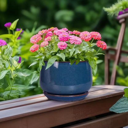 G EPGardening Ceramic Planter 6 Inch - Round Modern Ceramic Pot for Plants with Drainage and Plant