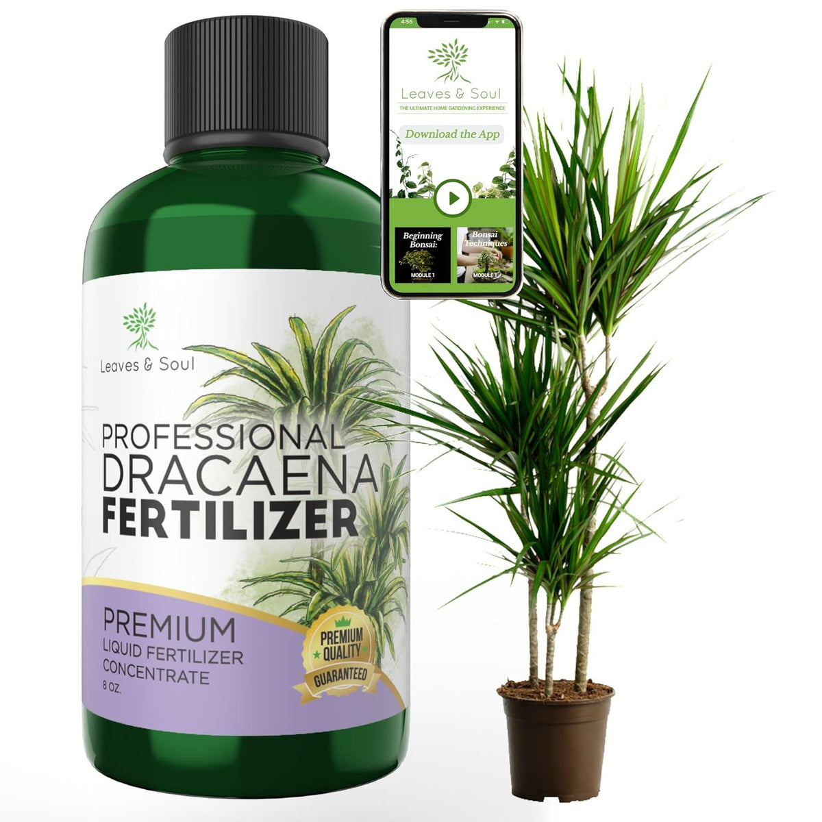 Professional Liquid Dracaena Plant Fertilizer | 3-1-2 Concentrate for Indoor Plants | Multi-Purpose