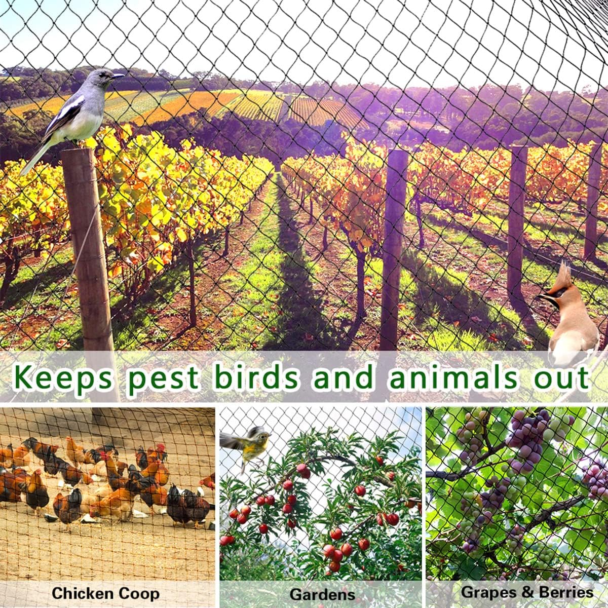 OGORI 25' x 50' Bird Netting Heavy Duty Nylon 3/4" Mesh Garden Netting Protect Fruit Trees, Plants