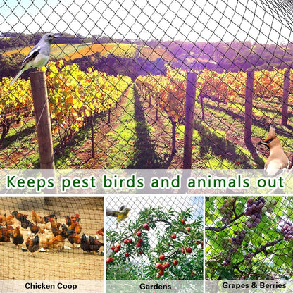 OGORI 25' x 50' Bird Netting Heavy Duty Nylon 3/4" Mesh Garden Netting Protect Fruit Trees, Plants