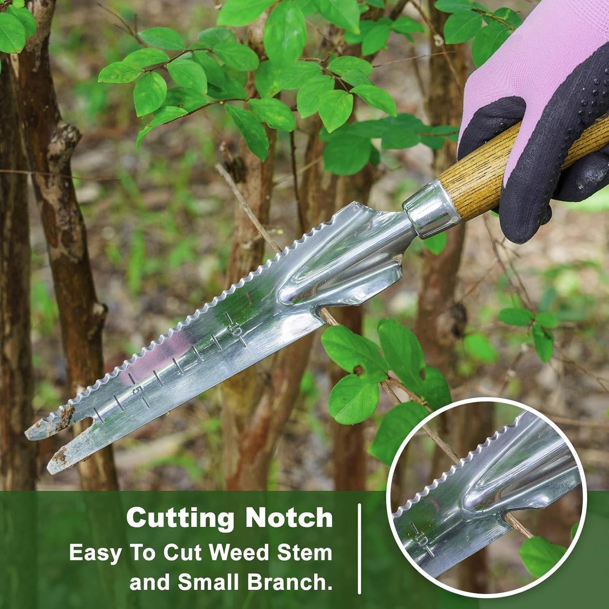 Haliaeetus Multi-Use Weed Trowel, Stainless Steel Dandelion Fork Puller, Serrated Edges Manual Weed