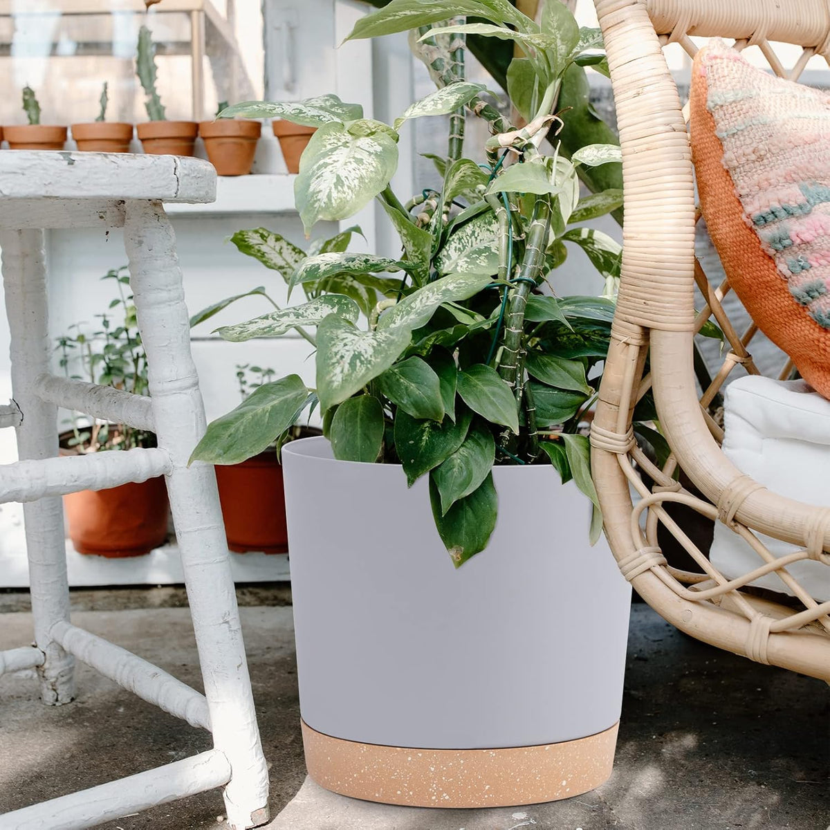 QCQHDU 12 inch Plant Pot, 2 Pack Planters for Indoor Plants with Drainage Holes & Saucer, Outdoor