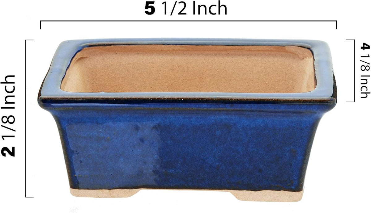 Leaves and Soul Complete Bonsai Set - Small Blue Rectangle Bonsai Pot | 160ft of Bonsai Hobby Wire
