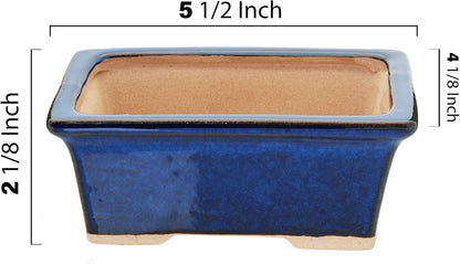 Leaves and Soul Complete Bonsai Set - Small Blue Rectangle Bonsai Pot | 160ft of Bonsai Hobby Wire
