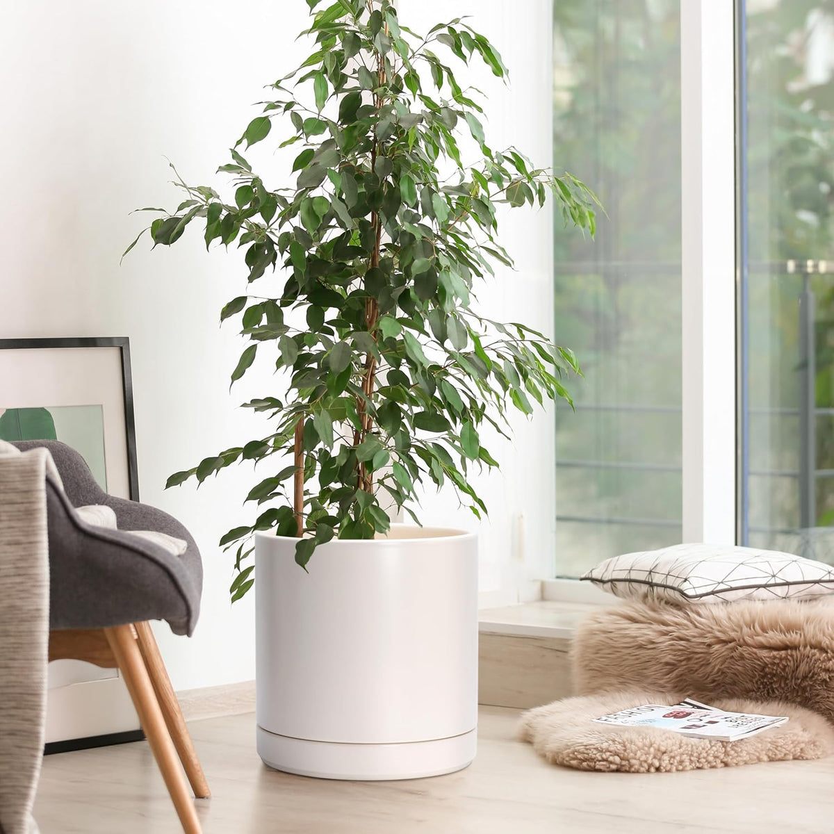 D'vine Dev 10 Inch Ceramic Planter Pot with Drainage Hole and Saucer, Indoor Cylinder Round Planter