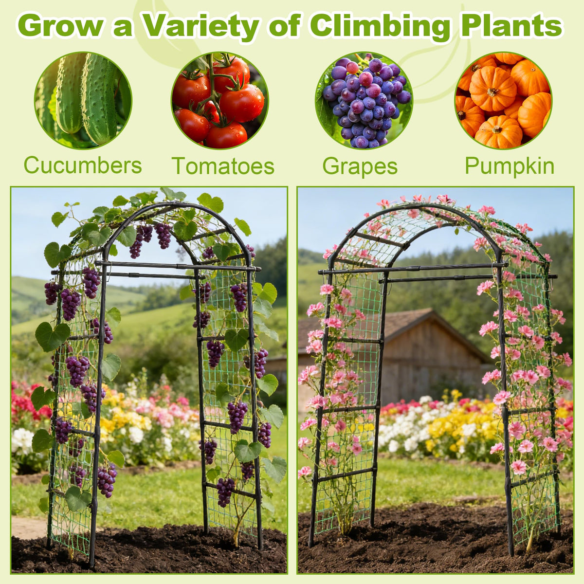 Miory Garden Arch Trellis for Climbing Plants Outdoor, 7ft Tall Plants Support Trellis for Climbing