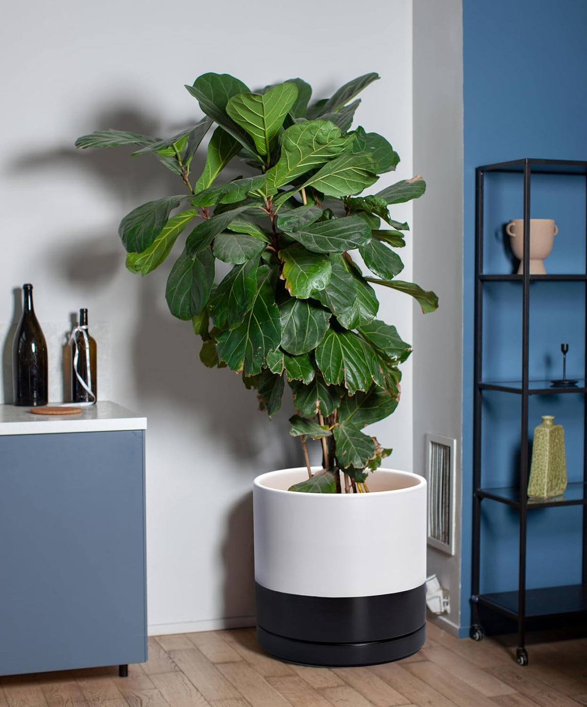 D'vine Dev 12 Inch Ceramic Planter Pot with Drainage Hole and Saucer, Indoor Cylinder Round Planter
