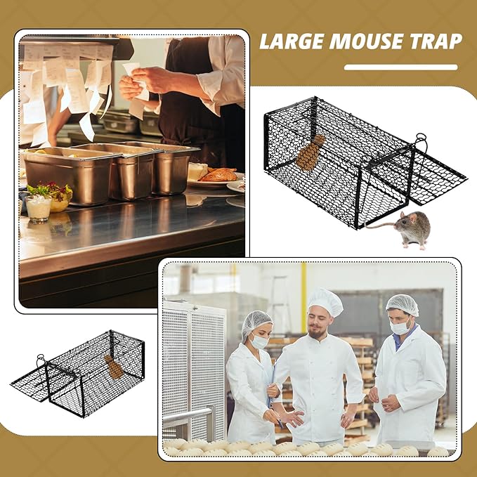 Qualirey 6 Pcs Humane Rat Trap Small Chipmunk Mouse Squirrel Cage Rodent Animal Mice Voles Hamsters