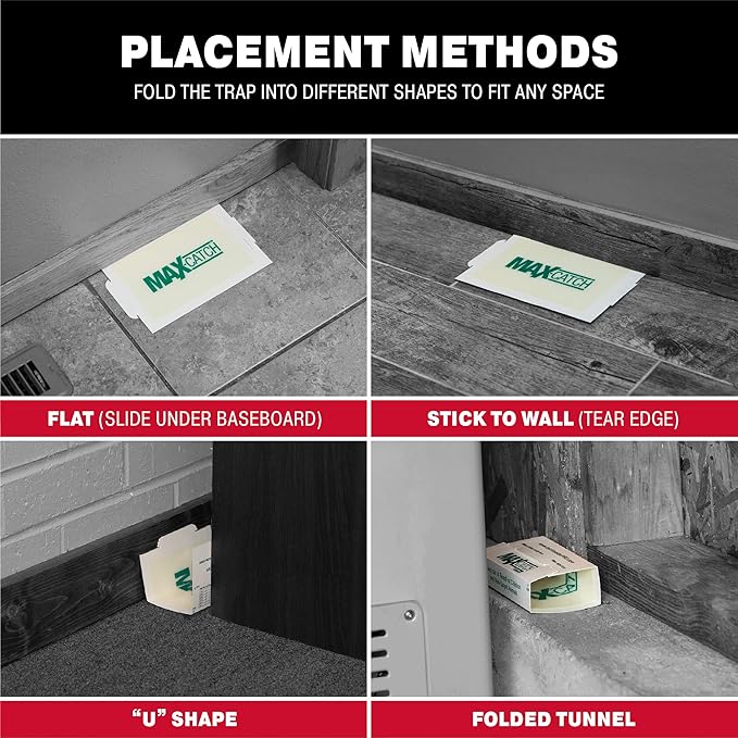 Catchmaster Max-Catch Mouse & Insect Glue Trap 72pk, Mouse Traps Indoor for Home, Sticky Pest