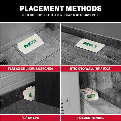 Catchmaster Max-Catch Mouse & Insect Glue Trap 72pk, Mouse Traps Indoor for Home, Sticky Pest