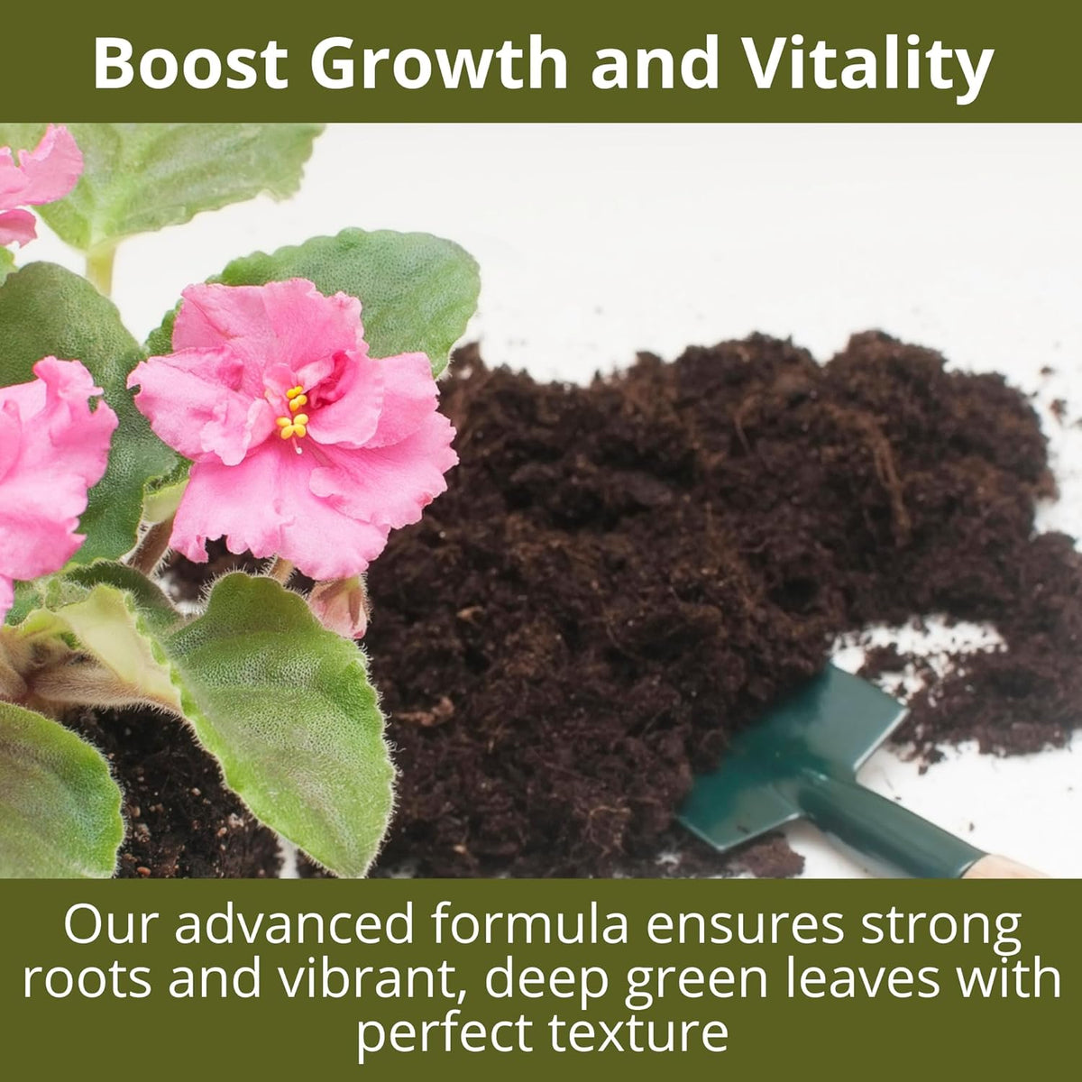 3-1-2 African Violet Fertilizer for Indoor Plants: Liquid Fertilizer with Essential Micronutrients