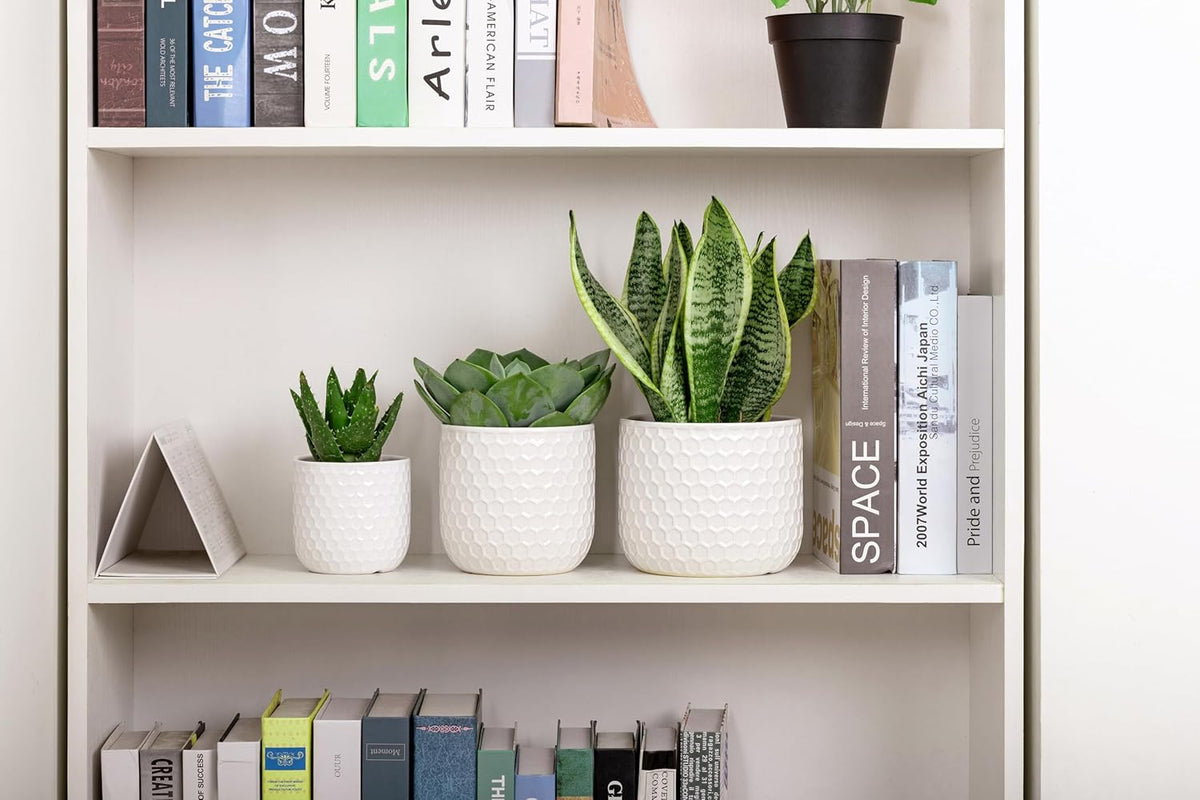 Docrin Plant Pots Indoor with Drainage: 6.4+5.3+4 Inch Ceramic Flower Pots for Plants - Set of 3
