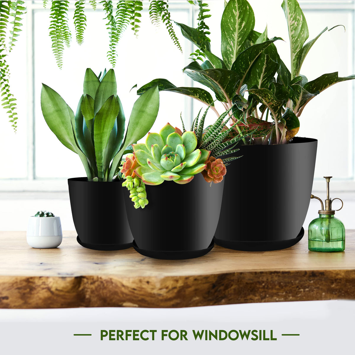 Plant Pots Indoor with Drainage, 5 Pack Multi-Size Planters Set, Black
