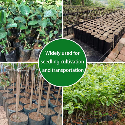 Belit Nursery Growing Bags, 100 Pcs Black Plastic Seedling Pots for Gardening Seed Plant Bags