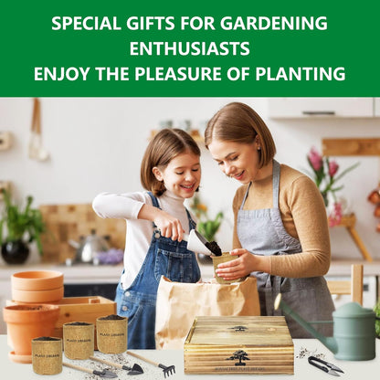 Bonsai Tree Starter Kit for Beginners - Indoor Live Plant Gardening Adult Craft Kits - Unique