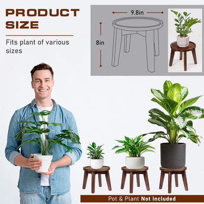 Demigo Indoor Plant Stand, Acacia Wooden Decorative Plant Shelf with Spill-Proof Tray, Stable 8”