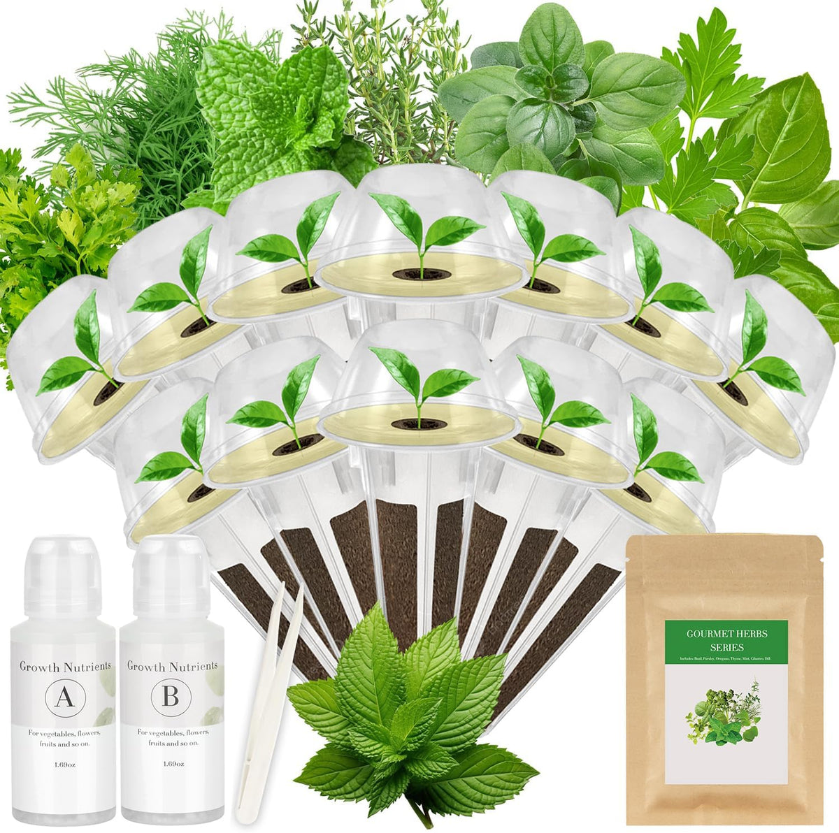 Gourmet Herbs Seed Pod Kit for AeroGarden, iDoo, Ahopegarden, MUFGA Hydroponics Garden with Basil