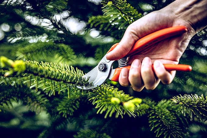 Original LÖWE Bypass Pruner Garden Tools 14.104 | Use as Pruners, Hedge Trimmer, Garden Shears