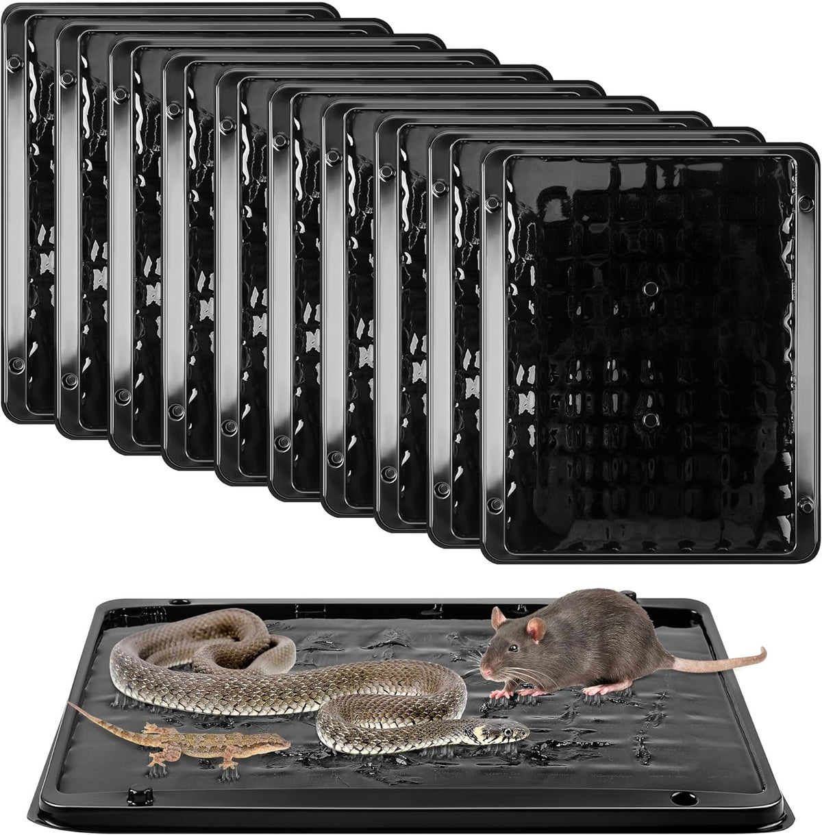 Qualirey 10 Pack Jumbo Rat & Mouse Glue Traps, 11.8 X 9.84 in Large Heavy Duty Mouse Traps Indoor