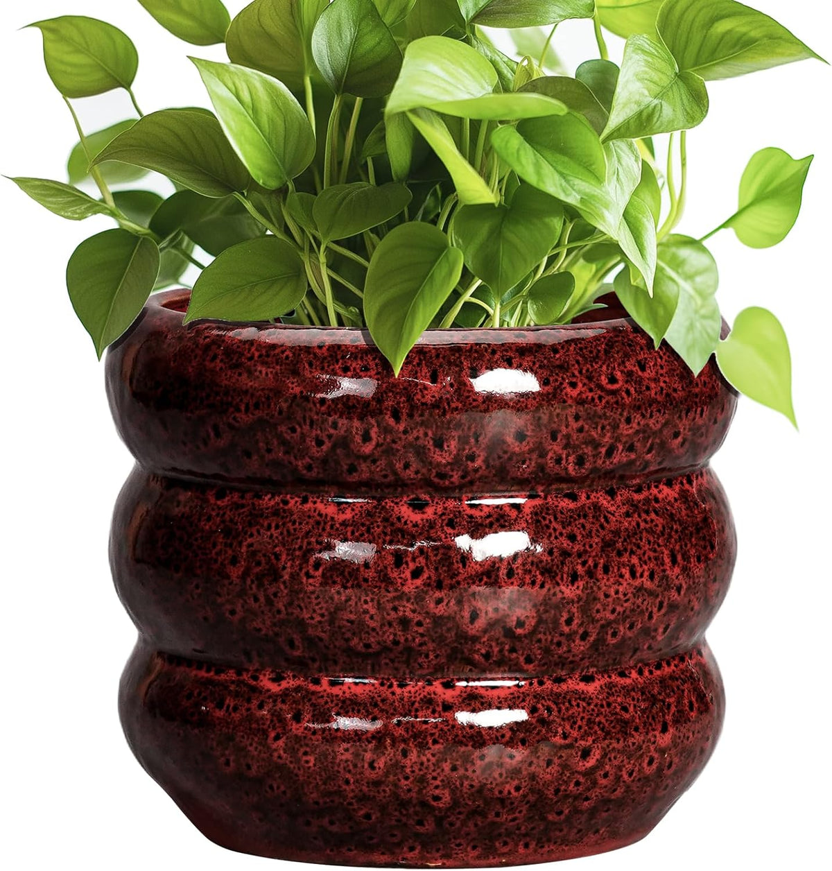SQOWL Ceramic Flower Pots - 8 Inch Planter for Indoor Plants, Ceramic Plant Pot with Drainage Hole