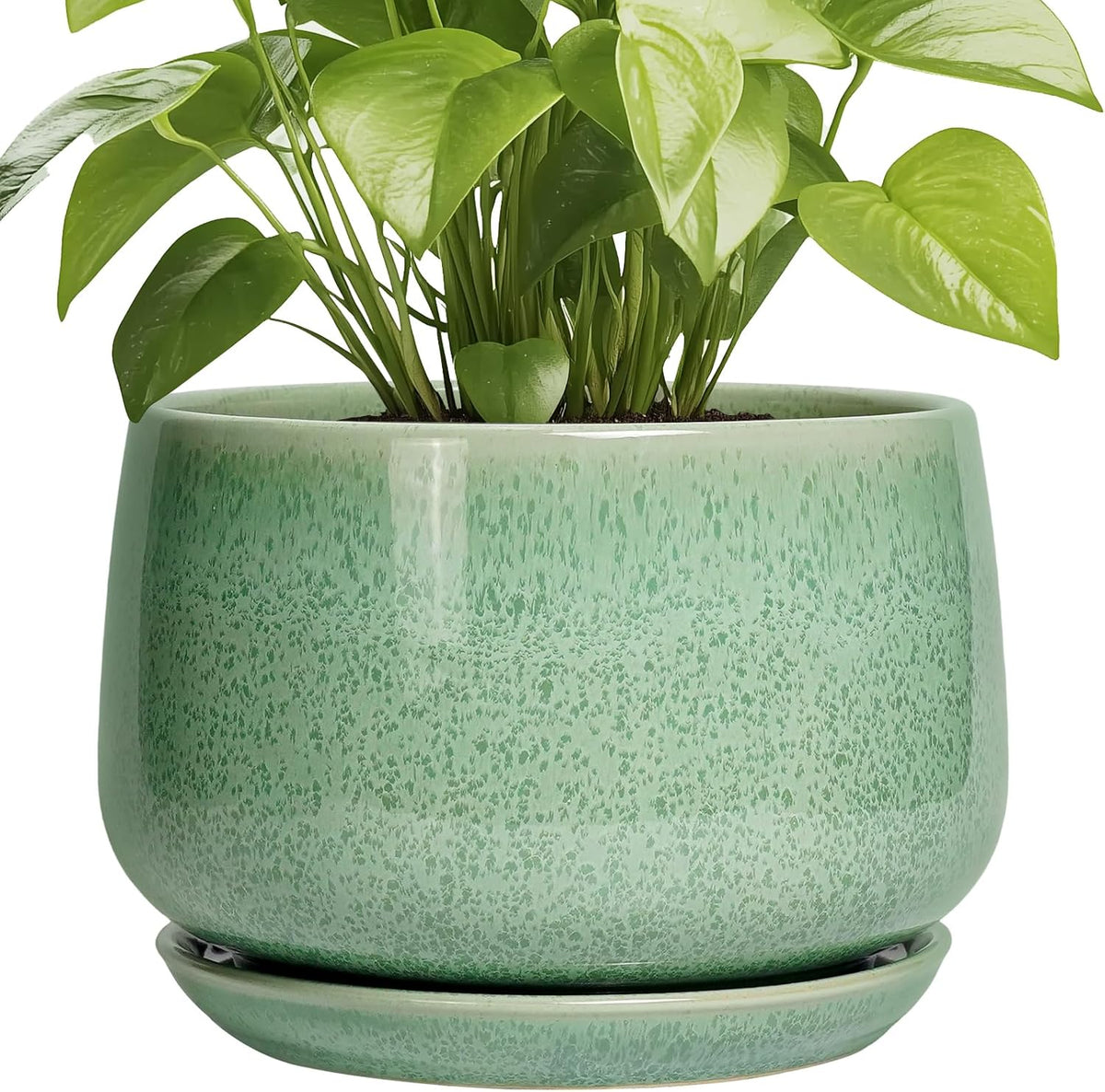 G EPGardening Ceramic Planter - 9 Inch Plant Pot with Drainage Hole and Saucer, Modern Round