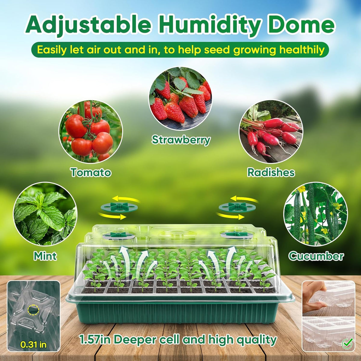 BlumWay 4-in-1 Seed Starter Tray with Grow Light &Heat Mat & Soil Meter Set,40-Cells Seedling Tray