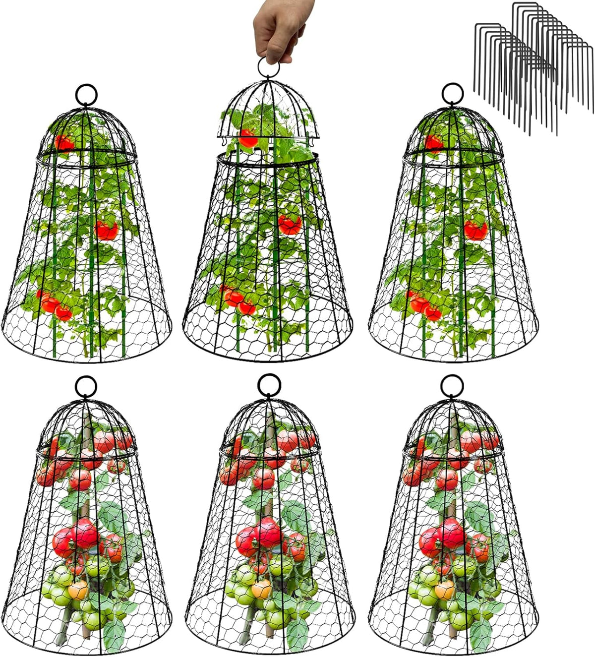 Garden Cloches for Plants Extra Large Sapbontchi Garden Cloche Chicken Wire Cloche for Plants Cages